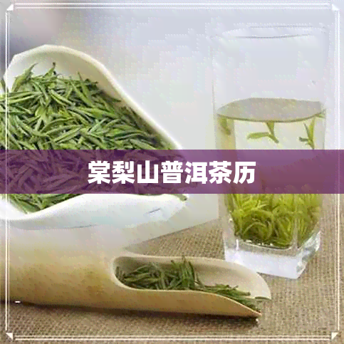 棠梨山普洱茶历