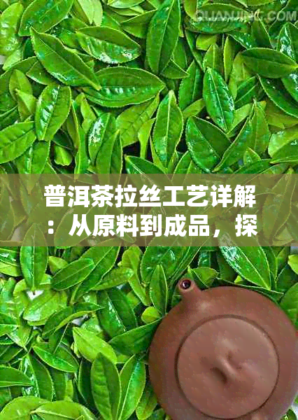 普洱茶拉丝工艺详解：从原料到成品，探索这一独特制茶过程的奥秘