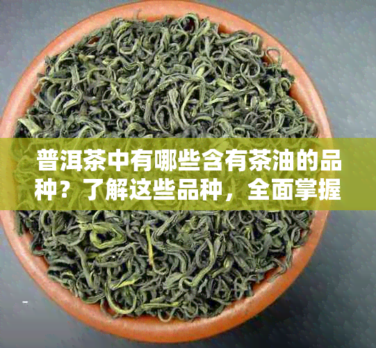 普洱茶中有哪些含有茶油的品种？了解这些品种，全面掌握普洱茶的特点与品质