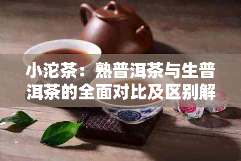 小沱茶：熟普洱茶与生普洱茶的全面对比及区别解析