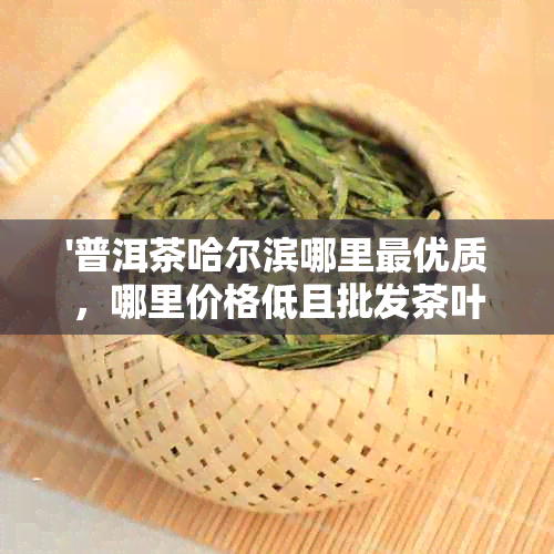 '普洱茶哈尔滨哪里更优质，哪里价格低且批发茶叶多？'