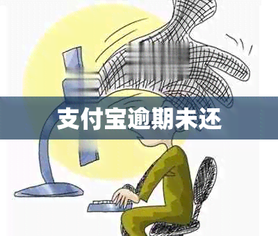 支付宝逾期未还