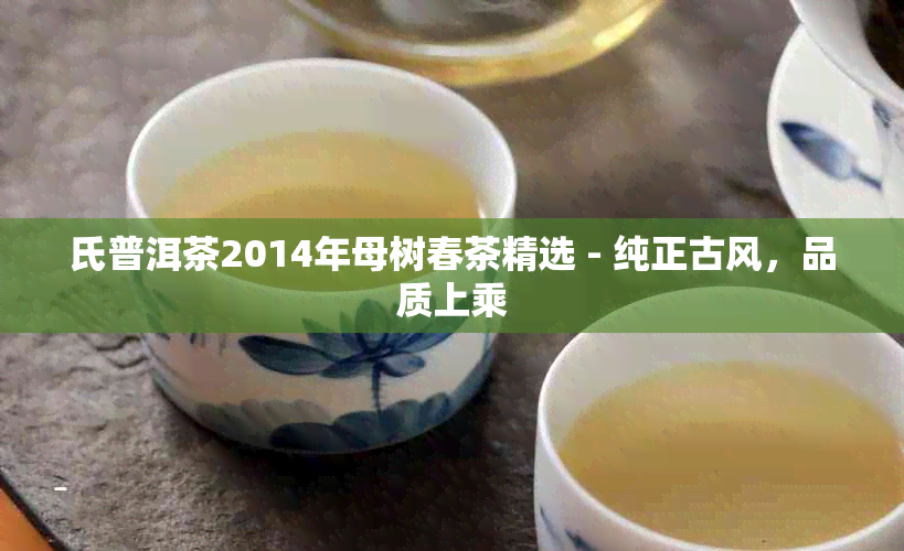 氏普洱茶2014年母树春茶精选 - 纯正古风，品质上乘