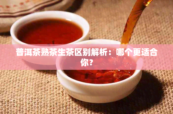 普洱茶熟茶生茶区别解析：哪个更适合你？