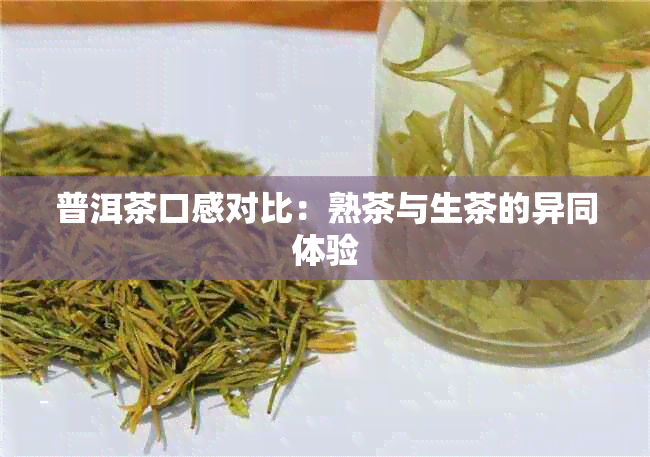 普洱茶口感对比：熟茶与生茶的异同体验