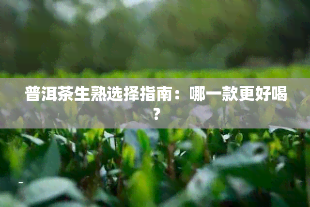 普洱茶生熟选择指南：哪一款更好喝？