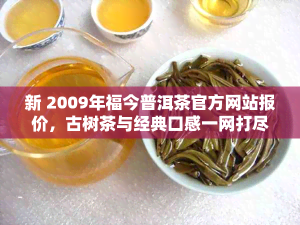 新 2009年福今普洱茶官方网站报价，古树茶与经典口感一网打尽