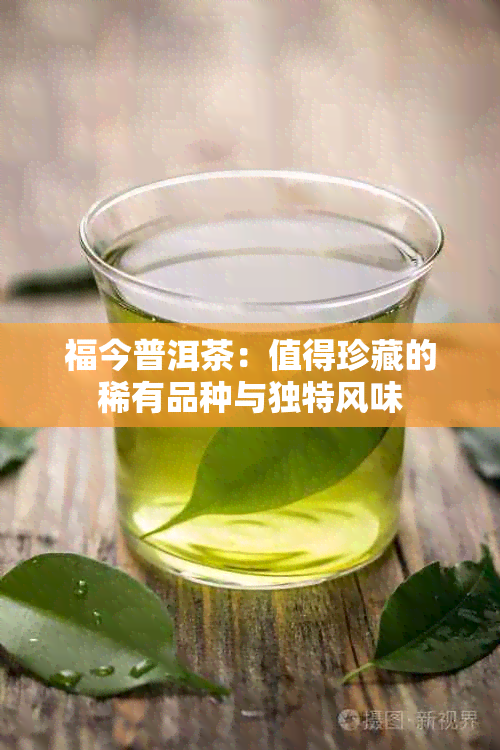 福今普洱茶：值得珍藏的稀有品种与独特风味