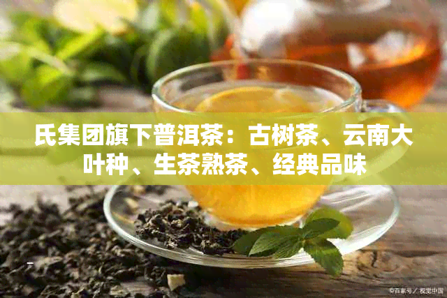 氏集团旗下普洱茶：古树茶、云南大叶种、生茶熟茶、经典品味