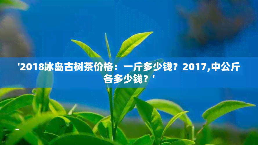 '2018冰岛古树茶价格：一斤多少钱？2017,中公斤各多少钱？'