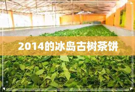 2014的冰岛古树茶饼