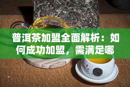 普洱茶加盟全面解析：如何成功加盟，需满足哪些条件？