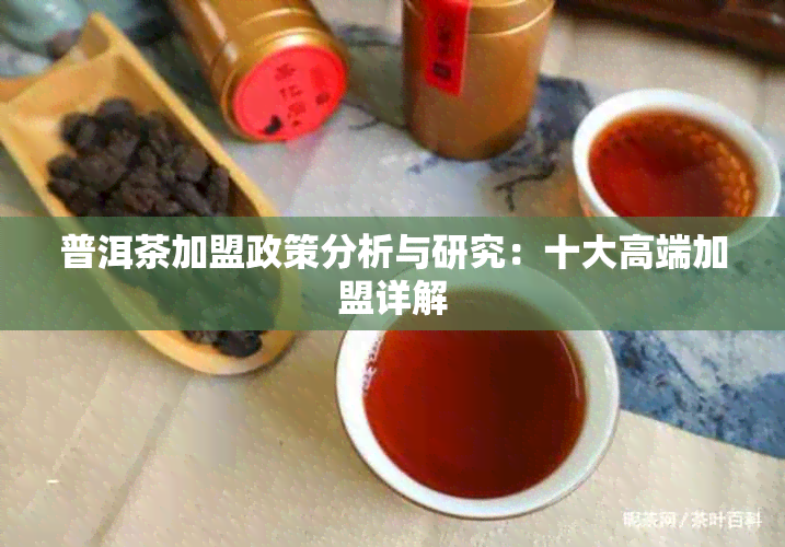 普洱茶加盟政策分析与研究：十大高端加盟详解