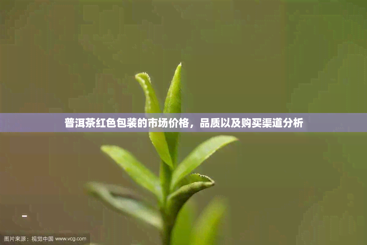 普洱茶红色包装的市场价格，品质以及购买渠道分析