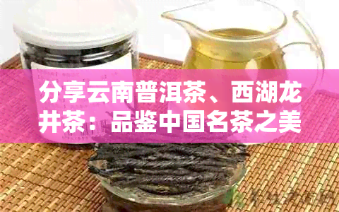 分享云南普洱茶、西湖龙井茶：品鉴中国名茶之美