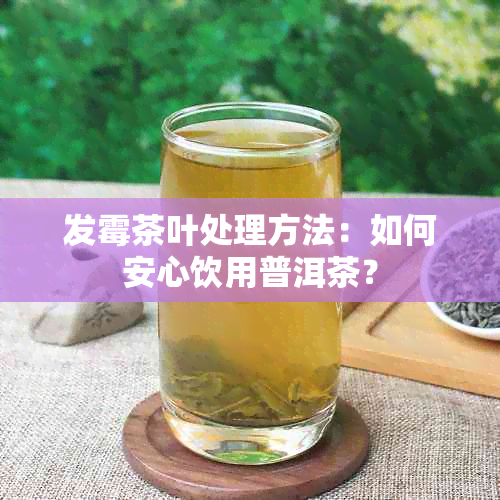 发霉茶叶处理方法：如何安心饮用普洱茶？