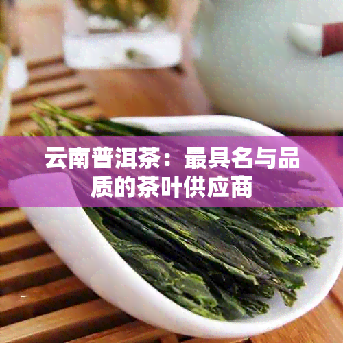 云南普洱茶：更具名与品质的茶叶供应商