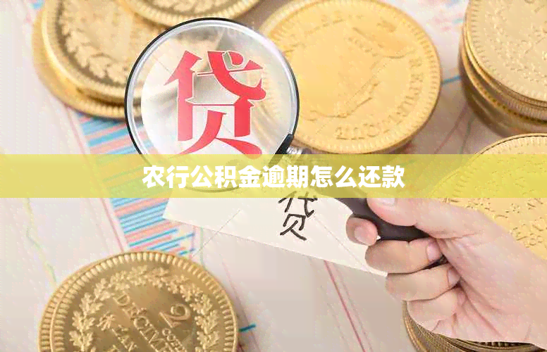 农行公积金逾期怎么还款