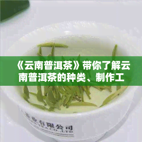 《云南普洱茶》带你了解云南普洱茶的种类、制作工艺和功效。