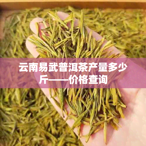 云南易武普洱茶产量多少斤——价格查询