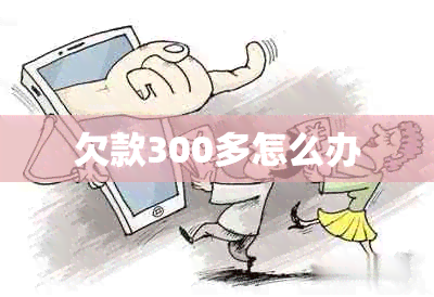 欠款300多怎么办