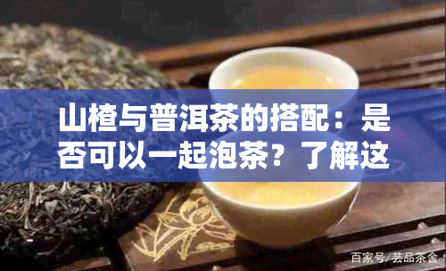 山楂与普洱茶的搭配：是否可以一起泡茶？了解这两种食材的独特效果与影响