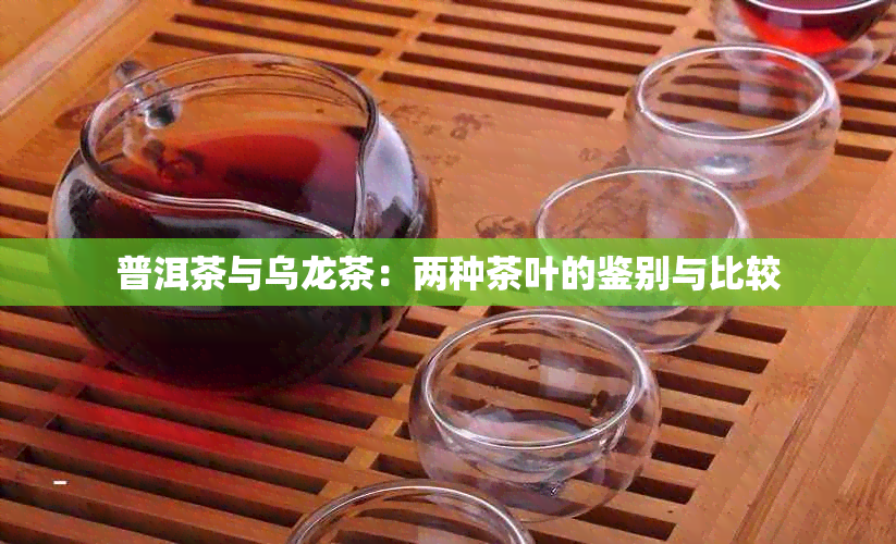 普洱茶与乌龙茶：两种茶叶的鉴别与比较