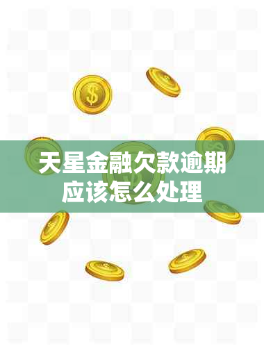 天星金融欠款逾期应该怎么处理