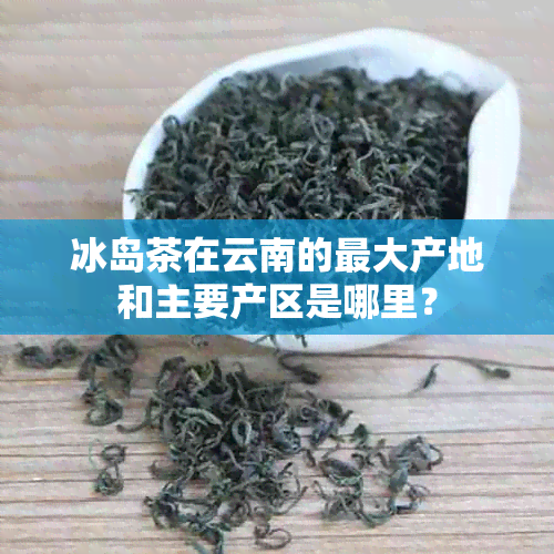 冰岛茶在云南的更大产地和主要产区是哪里？