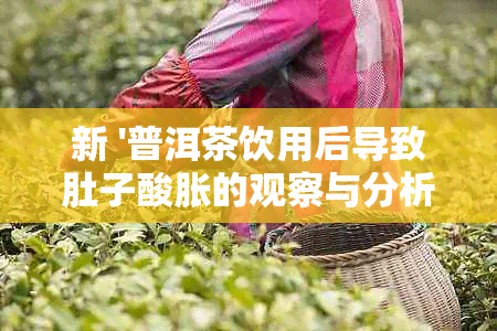 新 '普洱茶饮用后导致肚子酸胀的观察与分析'