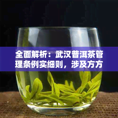 全面解析：武汉普洱茶管理条例实细则，涉及方方面面的问题解答