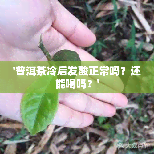 '普洱茶冷后发酸正常吗？还能喝吗？'