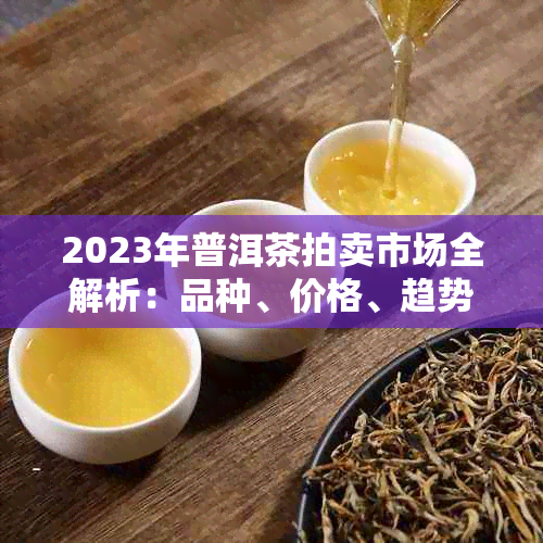 2023年普洱茶拍卖市场全解析：品种、价格、趋势与影响因素分析