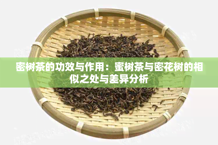 密树茶的功效与作用：蜜树茶与密花树的相似之处与差异分析