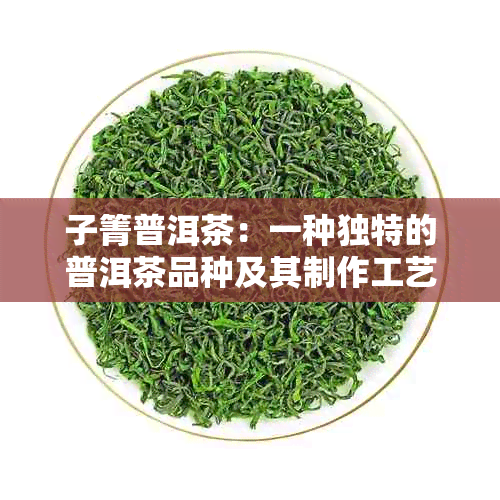 子箐普洱茶：一种独特的普洱茶品种及其制作工艺详解