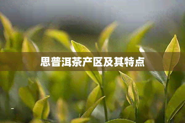 思普洱茶产区及其特点