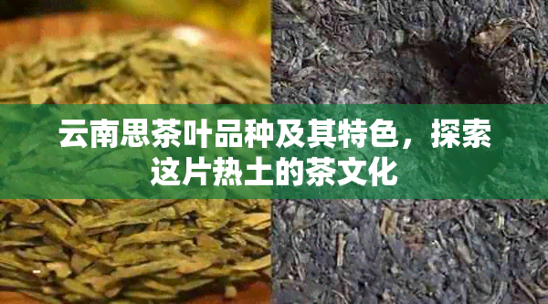 云南思茶叶品种及其特色，探索这片热土的茶文化