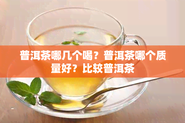 普洱茶哪几个喝？普洱茶哪个质量好？比较普洱茶