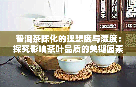 普洱茶陈化的理想度与湿度：探究影响茶叶品质的关键因素