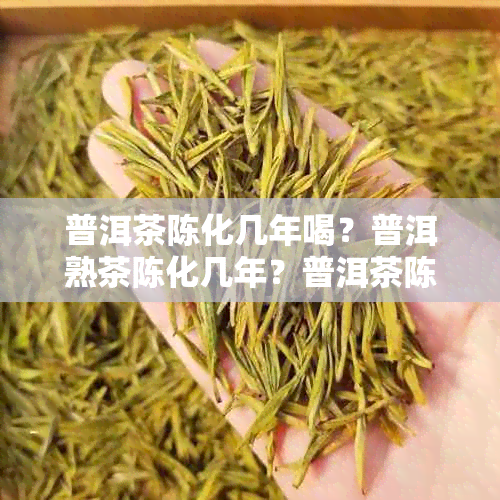 普洱茶陈化几年喝？普洱熟茶陈化几年？普洱茶陈化过程揭秘！