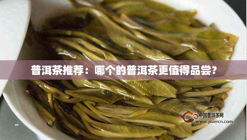 普洱茶推荐：哪个的普洱茶更值得品尝？