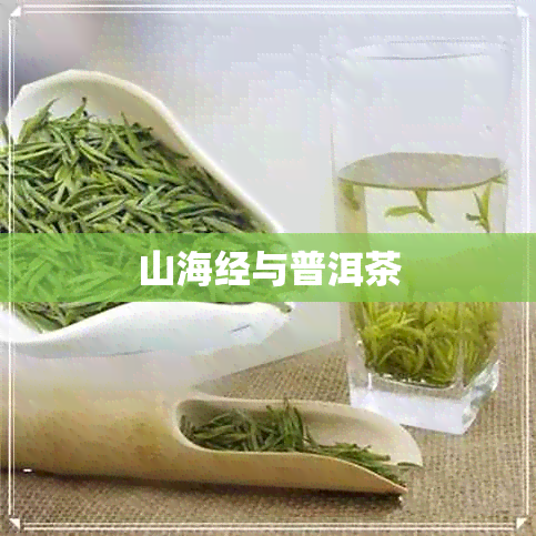 山海经与普洱茶