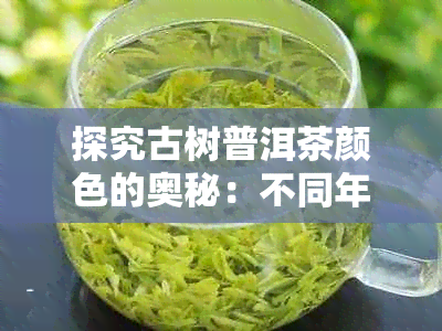 探究古树普洱茶颜色的奥秘：不同年份、制作工艺和土条件的影响