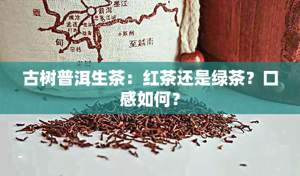 古树普洱生茶：红茶还是绿茶？口感如何？