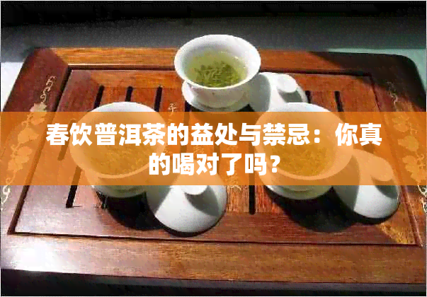 春饮普洱茶的益处与禁忌：你真的喝对了吗？