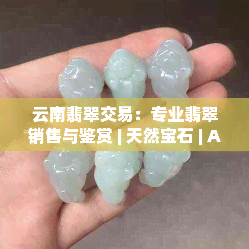 云南翡翠交易：专业翡翠销售与鉴赏 | 天然宝石 | A级品质 | 精美饰品