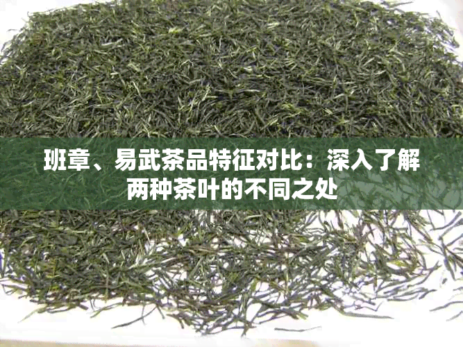 班章、易武茶品特征对比：深入了解两种茶叶的不同之处