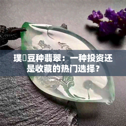 璞嗙豆种翡翠：一种投资还是收藏的热门选择？