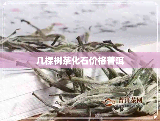 几棵树茶化石价格普洱