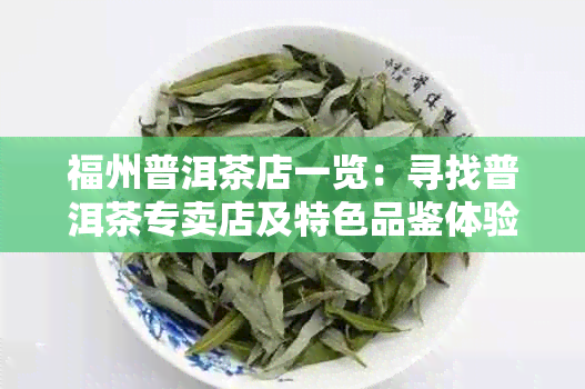 福州普洱茶店一览：寻找普洱茶专卖店及特色品鉴体验